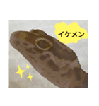 キャロちゃんと仲間達3（個別スタンプ：15）