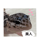 キャロちゃんと仲間達3（個別スタンプ：16）