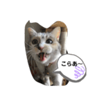 永遠のおんにゃのこ☆みゆう ②（個別スタンプ：7）