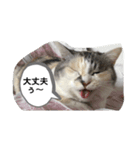 永遠のおんにゃのこ☆みゆう ②（個別スタンプ：8）