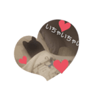 にゃーすけ②（個別スタンプ：2）