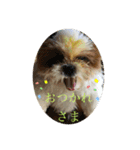 fuku.every day！（個別スタンプ：8）