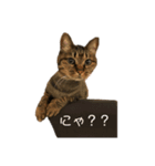 僕うらら（個別スタンプ：2）