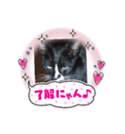 廣川さんちのスタンプ（個別スタンプ：8）