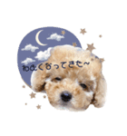 Noah no.1（個別スタンプ：3）