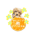 Noah no.1（個別スタンプ：4）