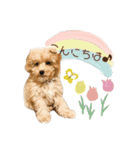 Noah no.1（個別スタンプ：5）