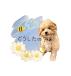 Noah no.1（個別スタンプ：8）