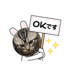可愛い猫好きよ、集まれ（個別スタンプ：8）
