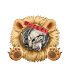 可愛い猫好きよ、集まれ（個別スタンプ：10）