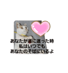 うちの三毛猫 えりちゃん①（個別スタンプ：1）