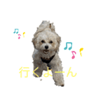 コナン＆宇宙ちゃん（個別スタンプ：1）