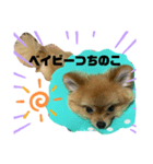 えりまきマメゾウちゃん（個別スタンプ：7）