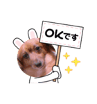 ゼロく♡（個別スタンプ：1）