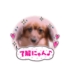 ゼロく♡（個別スタンプ：5）