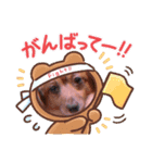 ゼロく♡（個別スタンプ：8）
