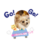 LUNA＆SEAのちょことだけ会話だワン～（個別スタンプ：2）