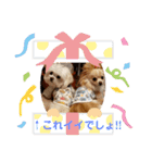LUNA＆SEAのちょことだけ会話だワン～（個別スタンプ：5）