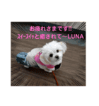LUNA＆SEAのちょことだけ会話だワン～（個別スタンプ：7）