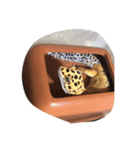 レオパのかよこ（個別スタンプ：5）
