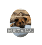 関西弁のふぅちゃん（個別スタンプ：2）
