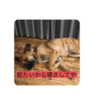 関西弁のふぅちゃん（個別スタンプ：3）