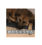 関西弁のふぅちゃん（個別スタンプ：4）