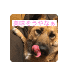 関西弁のふぅちゃん（個別スタンプ：6）