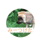 関西弁のふぅちゃん（個別スタンプ：7）