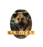 関西弁のふぅちゃん（個別スタンプ：8）