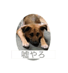 関西弁のふぅちゃん（個別スタンプ：9）