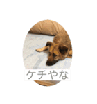 関西弁のふぅちゃん（個別スタンプ：11）
