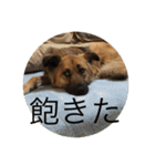 関西弁のふぅちゃん（個別スタンプ：14）