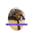 関西弁のふぅちゃん（個別スタンプ：15）