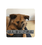 関西弁のふぅちゃん（個別スタンプ：16）