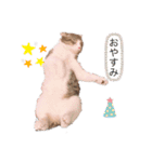 マエル（個別スタンプ：3）