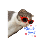 マエル（個別スタンプ：4）