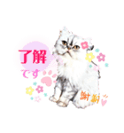 実写＊いつでも猫スタンプ敬語編＊日常会話（個別スタンプ：7）