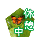 野鳥好きのためのスタンプ #01日常（個別スタンプ：22）