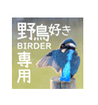 野鳥好きのためのスタンプ #01日常（個別スタンプ：24）
