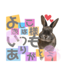 みにうさぎのちょこちゃん②（個別スタンプ：28）