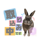 みにうさぎのちょこちゃん②（個別スタンプ：32）