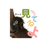 みにうさぎのちょこちゃん②（個別スタンプ：34）