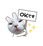 ゴマアイドル（個別スタンプ：5）