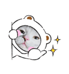 ゴマアイドル（個別スタンプ：11）