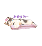 ジジキキスタンプ（個別スタンプ：3）