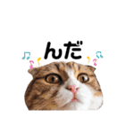 ジジキキスタンプ（個別スタンプ：9）