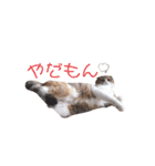 ジジキキスタンプ（個別スタンプ：12）