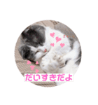ジジキキスタンプ（個別スタンプ：18）