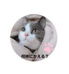 ジジキキスタンプ（個別スタンプ：28）